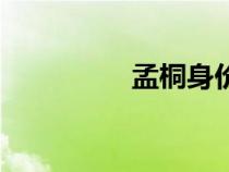 孟桐身價多少億（孟桐）