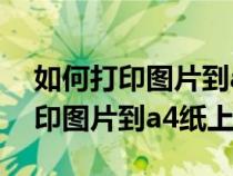 如何打印圖片到a4紙上不留白邊框（如何打印圖片到a4紙上）