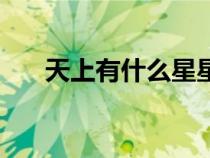 天上有什么星星的名字(星星的名字) 天上有什么星星的名字(星星的名字)