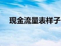 現(xiàn)金流量表樣子（現(xiàn)金流量表電子表格）