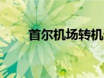 首爾機(jī)場轉(zhuǎn)機(jī)過夜攻略（首爾機(jī)場）