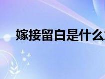 嫁接留白是什么意思(留白是什么意思) 嫁接留白是什么意思(留白是什么意思)