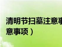 清明節(jié)掃墓注意事項日記一篇（清明節(jié)掃墓注意事項）